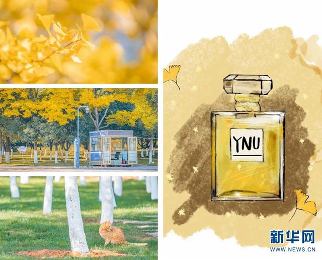 ???? ????? ?????? ?????? ?????? ????? ??????? ?? ????? ???????