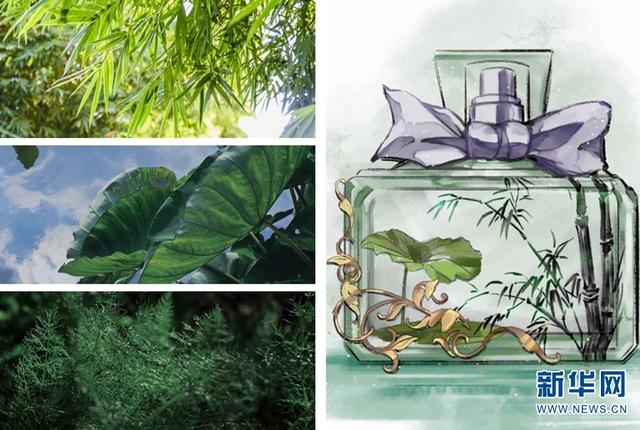 ???? ????? ?????? ?????? ?????? ????? ??????? ?? ????? ???????