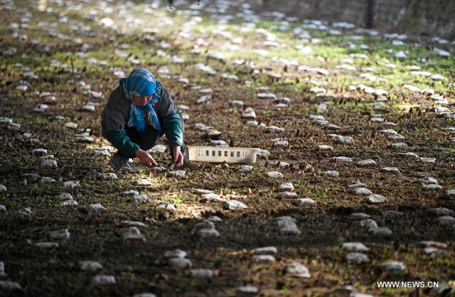 ????? ??????? ???? ???? ????? ???? ????? ????? ????? ?????? ??? ?????? ????????