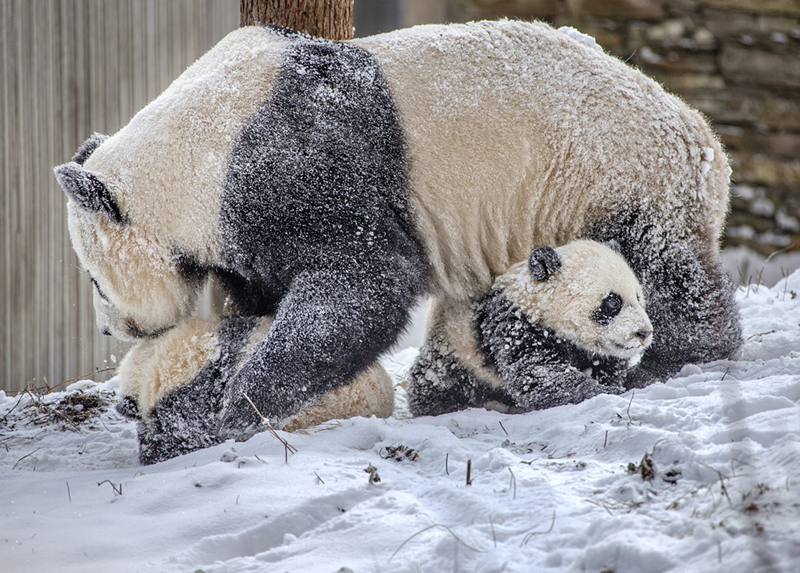 ??????? ? ???????: ??????? ?????? ?????? ?? ?????