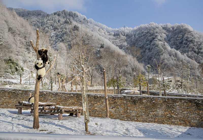 ??????? ? ???????: ??????? ?????? ?????? ?? ?????