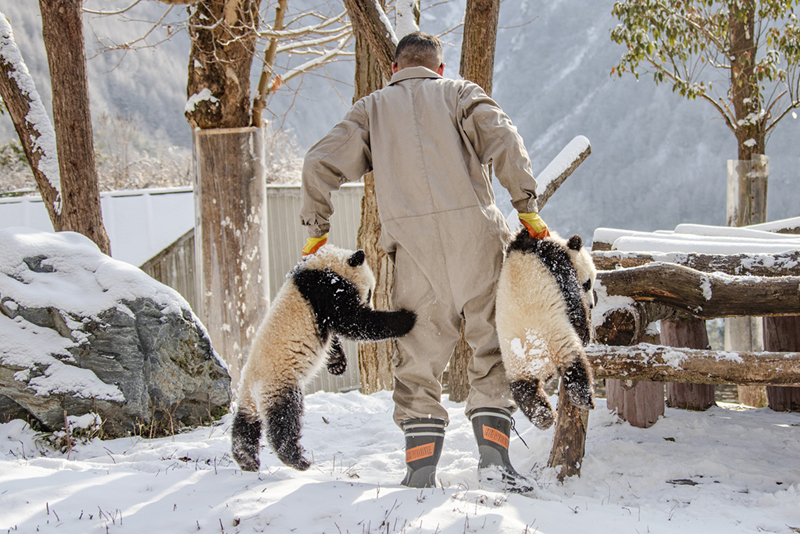 ??????? ? ???????: ??????? ?????? ?????? ?? ?????