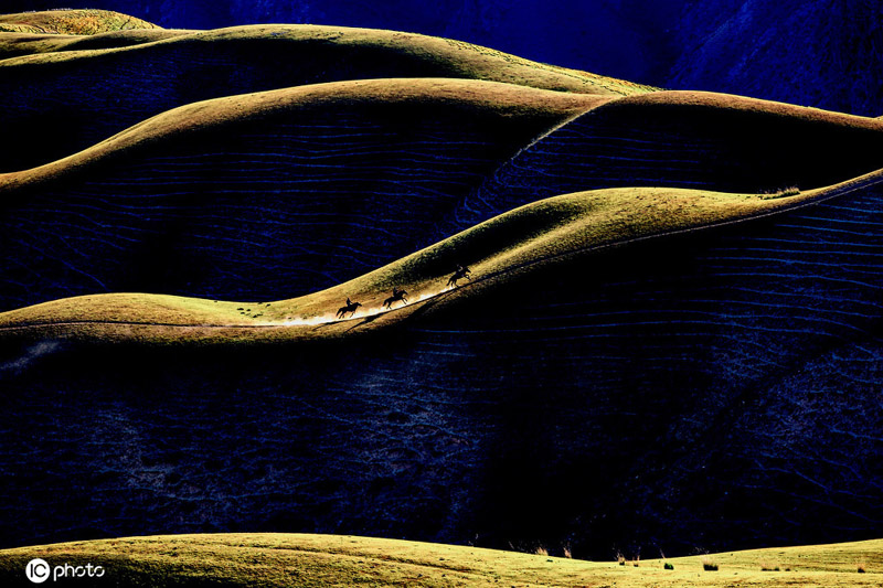 ???????? ???????? .. ???? ????? ???? ??? ??????? ?? ??????