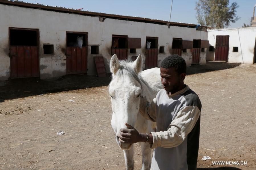 ????? ??????: ?????? ??????? ??????? ??????? ????? ???? ?? ????? ???? ????? ?????