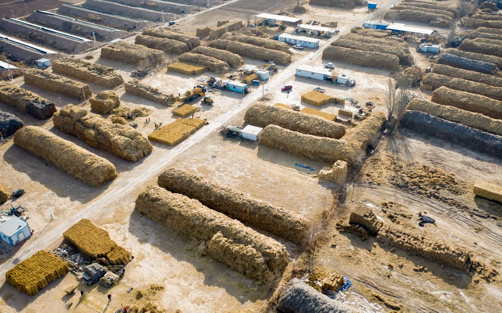 ??????? ???? ?? ????? ???????