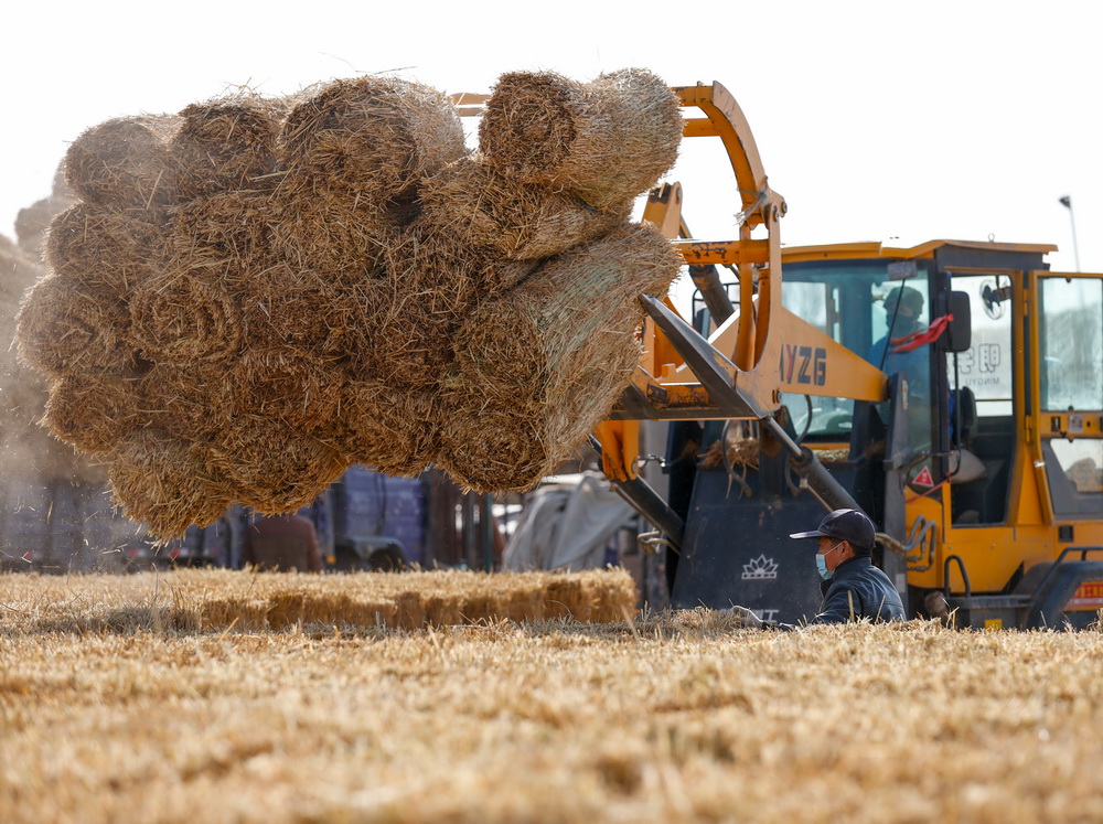 ??????? ???? ?? ????? ???????