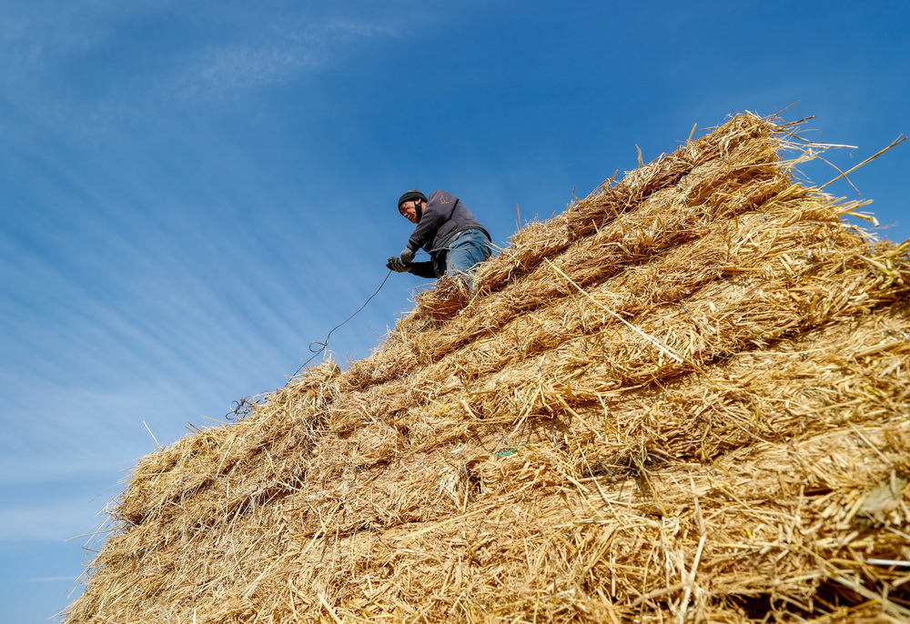 ??????? ???? ?? ????? ???????