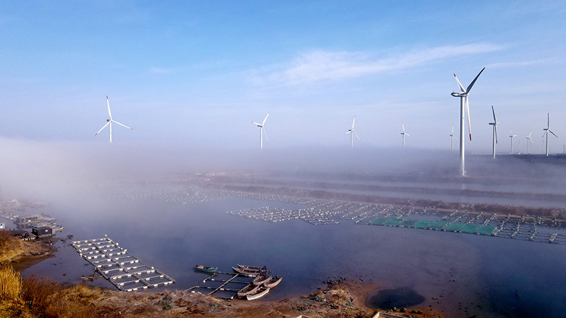 ????? ???? ??? ????????? ???? ??? ????? ????? ???? ??????