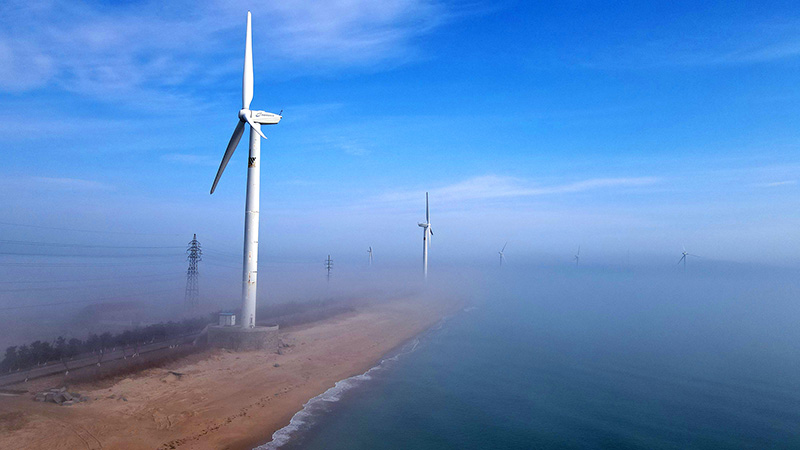 ????? ???? ??? ????????? ???? ??? ????? ????? ???? ??????