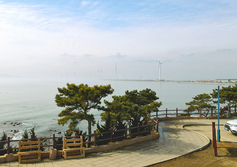 ????? ???? ??? ????????? ???? ??? ????? ????? ???? ??????