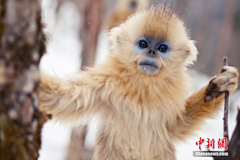 ????? ?????? ?? ????? ???? ???????