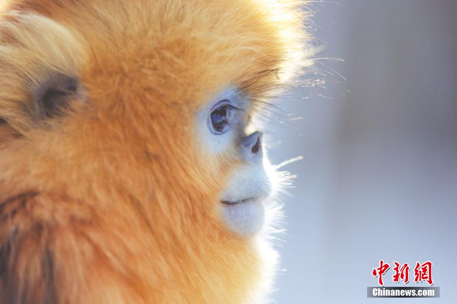 ????? ?????? ?? ????? ???? ???????