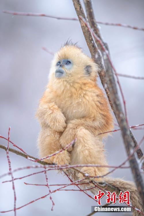 ????? ?????? ?? ????? ???? ???????