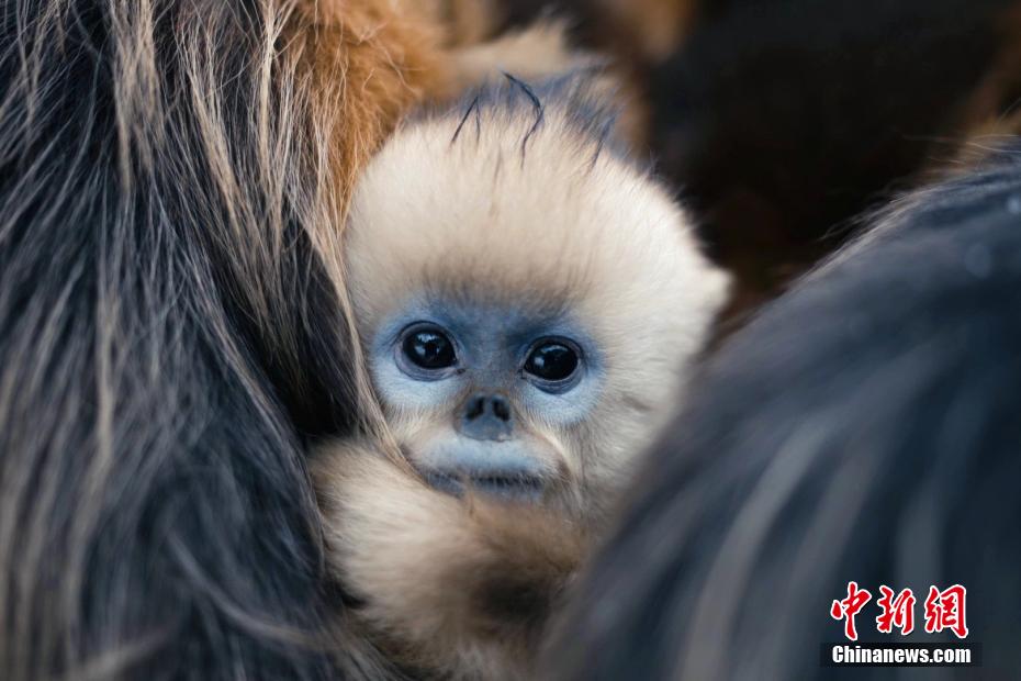 ????? ?????? ?? ????? ???? ???????