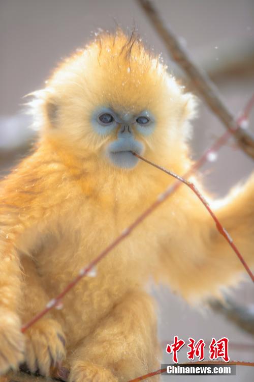 ????? ?????? ?? ????? ???? ???????