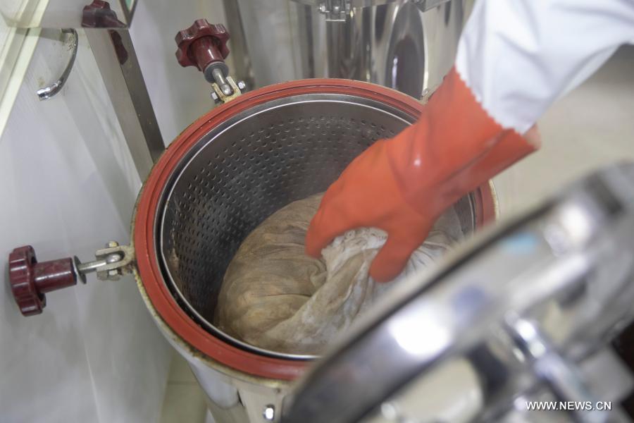 ??????? ???? ?????? ???????? ?? ???? ??????? ??????? ??????-19 ?? ???? ???? ?????