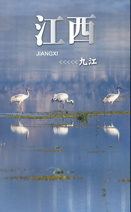 ????? ??????? ??????? ?????? ..  ?????? ?? 