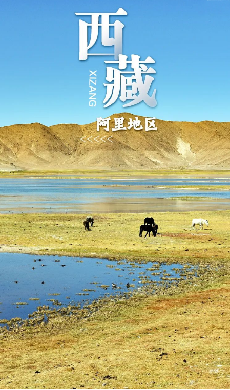 ????? ??????? ??????? ?????? ..  ?????? ?? 