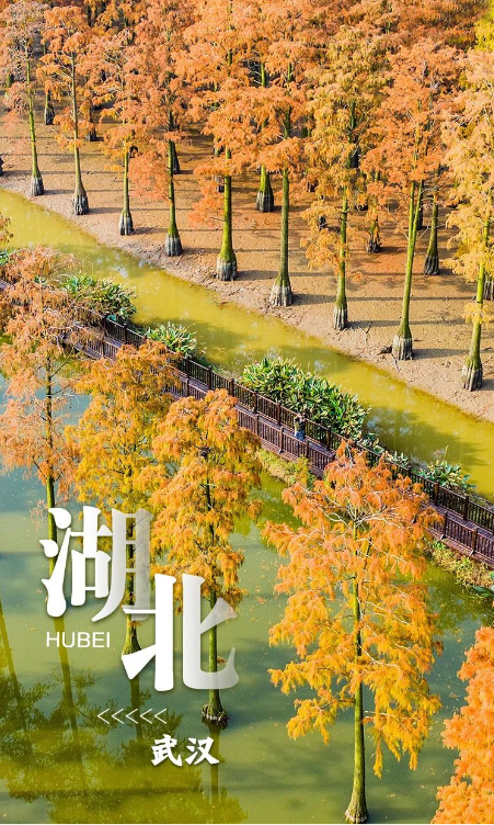 ????? ??????? ??????? ?????? ..  ?????? ?? 