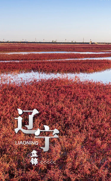 ????? ??????? ??????? ?????? ..  ?????? ?? 