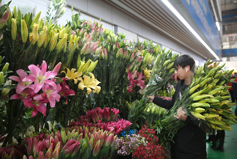 10.6% ??????? ?? ??? ??????? ???????? ???? ??????? ?????? ???? ???? ?????