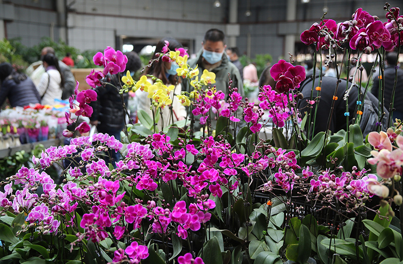 10.6% ??????? ?? ??? ??????? ???????? ???? ??????? ?????? ???? ???? ?????