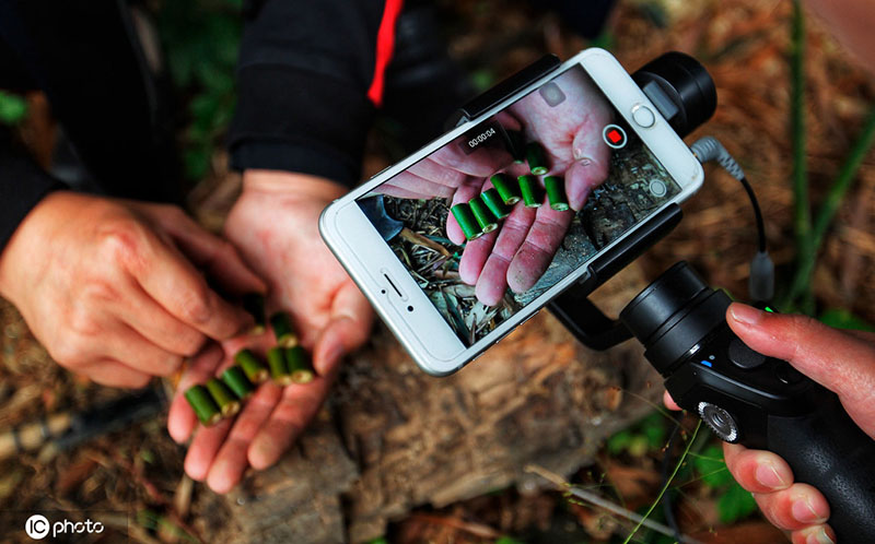 ?????: ??????? ??????????? ????? ??? ??? ????? ???? ?? ??????? ??????? ??????