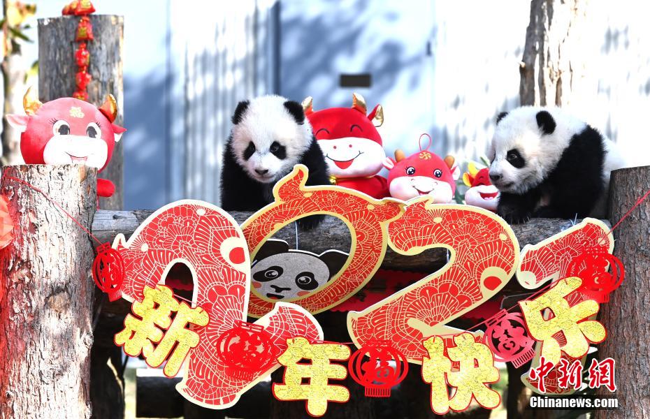 ??????? ????? ??? ?? ?????? ???????? ???? ??????