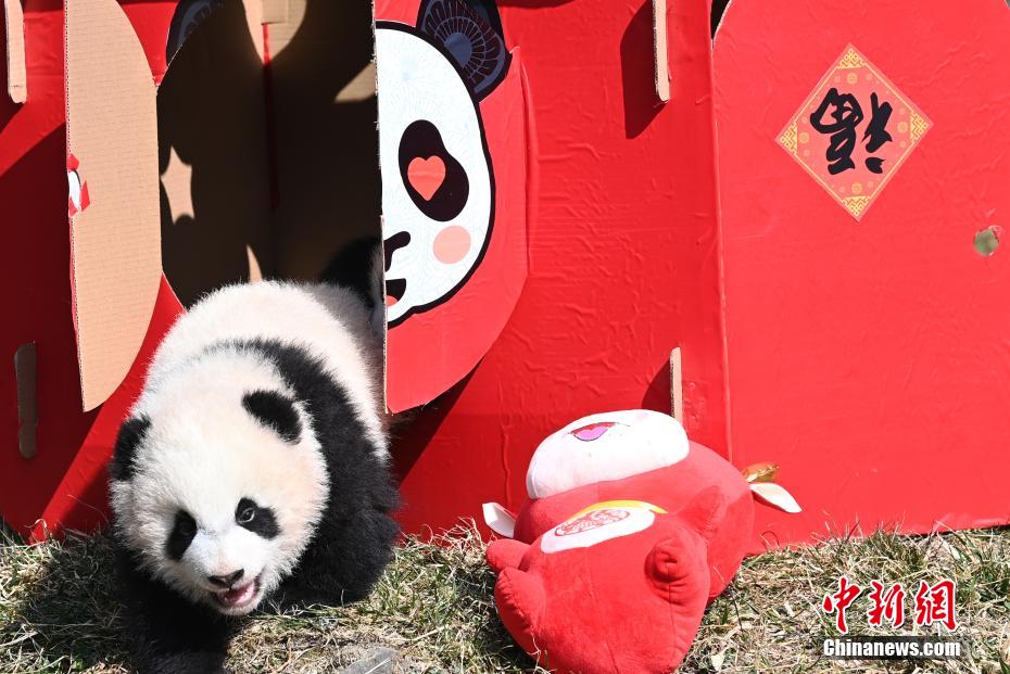 ??????? ????? ??? ?? ?????? ???????? ???? ??????