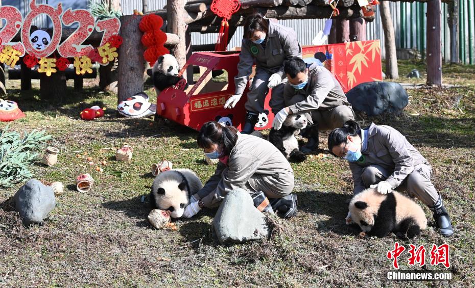 ??????? ????? ??? ?? ?????? ???????? ???? ??????