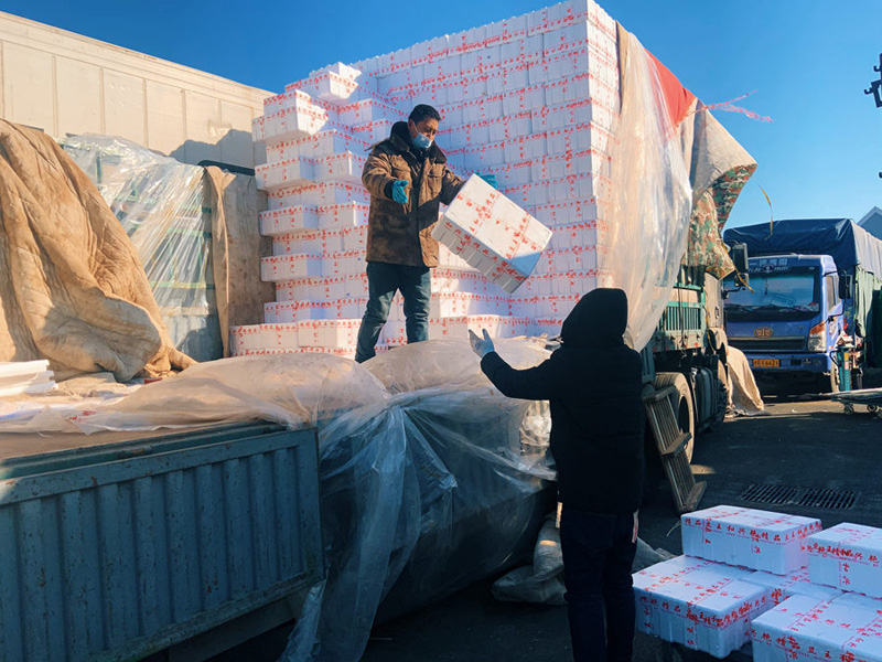 ??????? ..???? ??? ???? ?? ???? ?????? ?? ????? -19