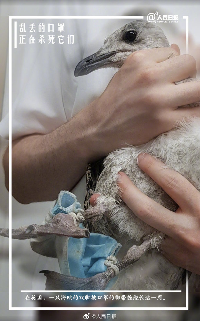 ????? ?????? ???? ???????? ?? ?????? .. ???????? ??????? ????? ??? ?? ??? 400 ?500 ??? ??? ?????!