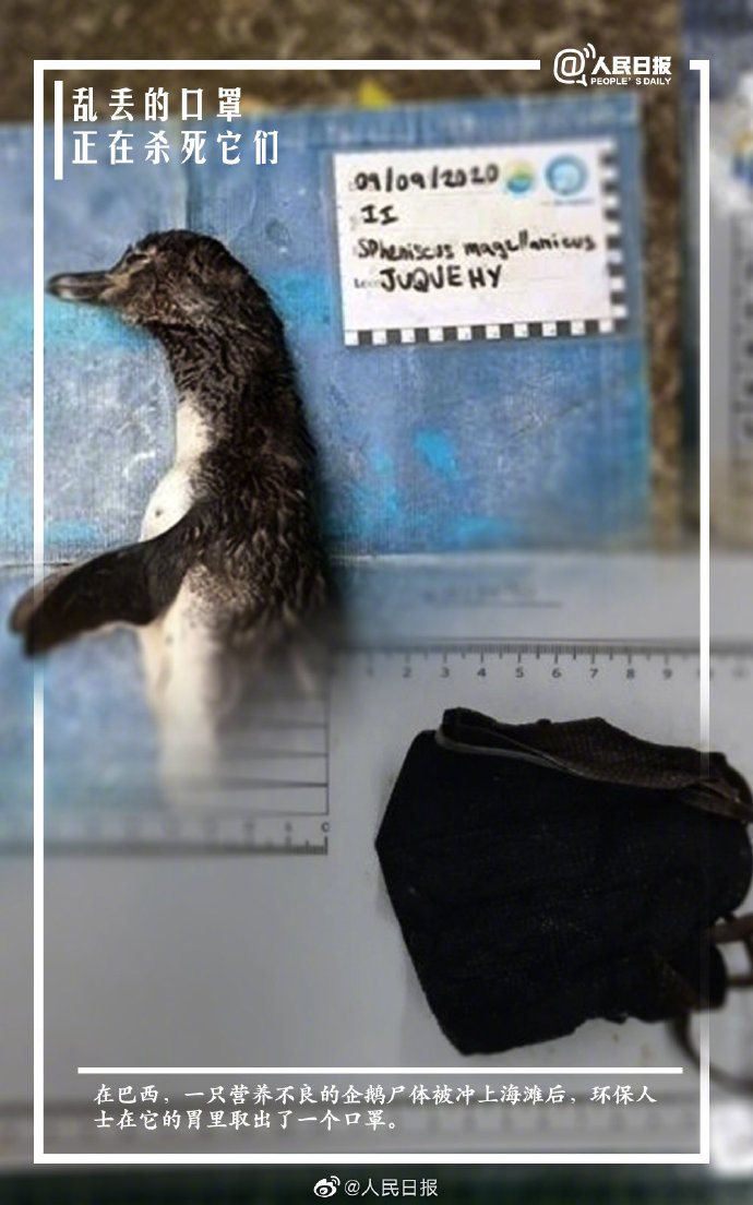 ????? ?????? ???? ???????? ?? ?????? .. ???????? ??????? ????? ??? ?? ??? 400 ?500 ??? ??? ?????!