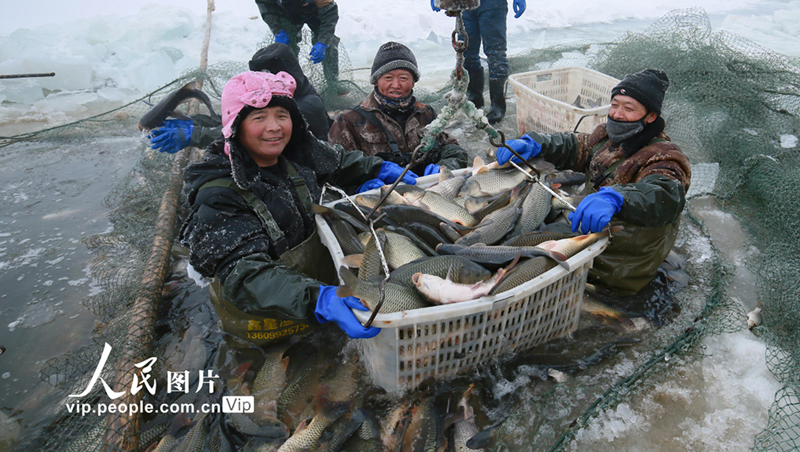 ??? ??????? ??? ?????? ?? ????????