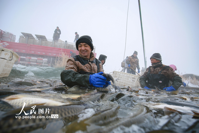 ??? ??????? ??? ?????? ?? ????????