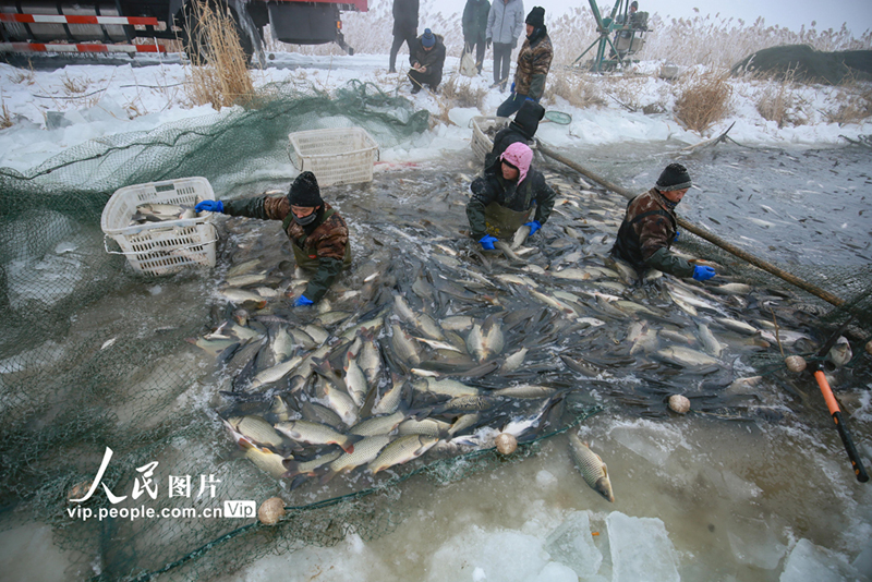 ??? ??????? ??? ?????? ?? ????????