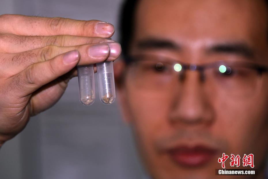 ?????? ?????? ?????? ??? ???? ???? ????? ??????