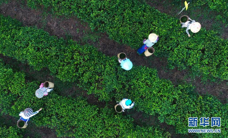 ???? ??????: ????????? ??????? ?? ??? ????? ?? ????? ??????