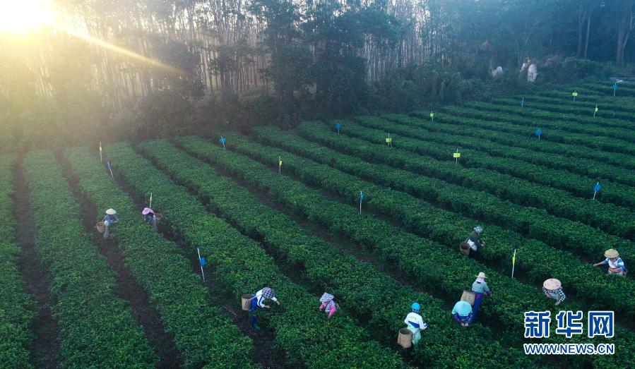 ???? ??????: ????????? ??????? ?? ??? ????? ?? ????? ??????