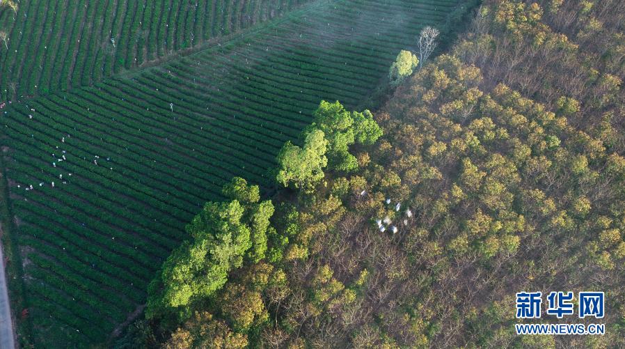 ???? ??????: ????????? ??????? ?? ??? ????? ?? ????? ??????