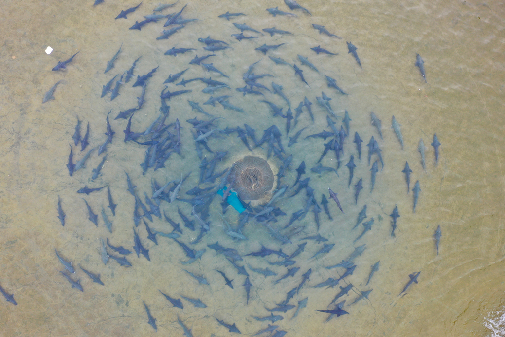 ???????? ????????: ????? ????? ???????? ??????? ???????