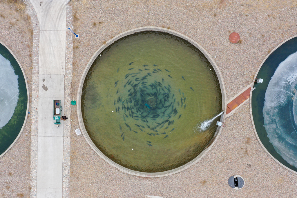 ???????? ????????: ????? ????? ???????? ??????? ???????