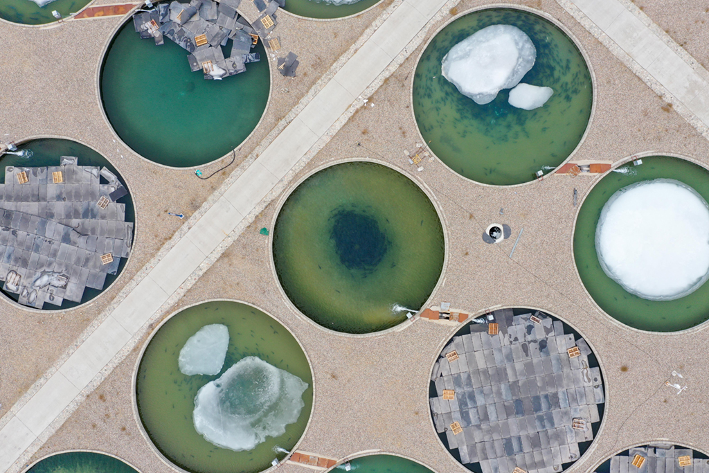 ???????? ????????: ????? ????? ???????? ??????? ???????