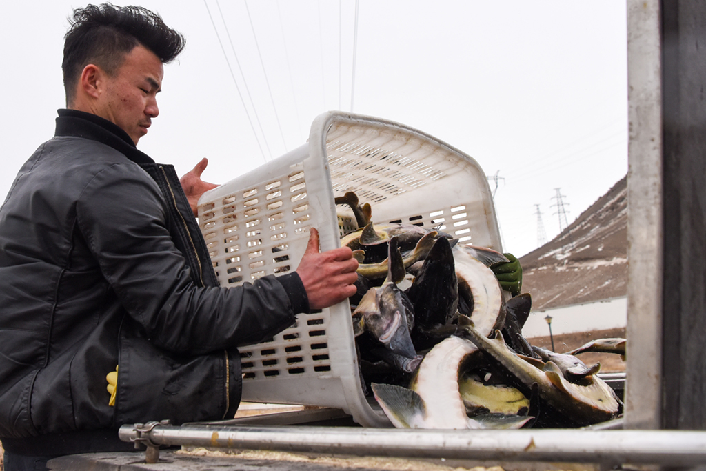 ???????? ????????: ????? ????? ???????? ??????? ???????