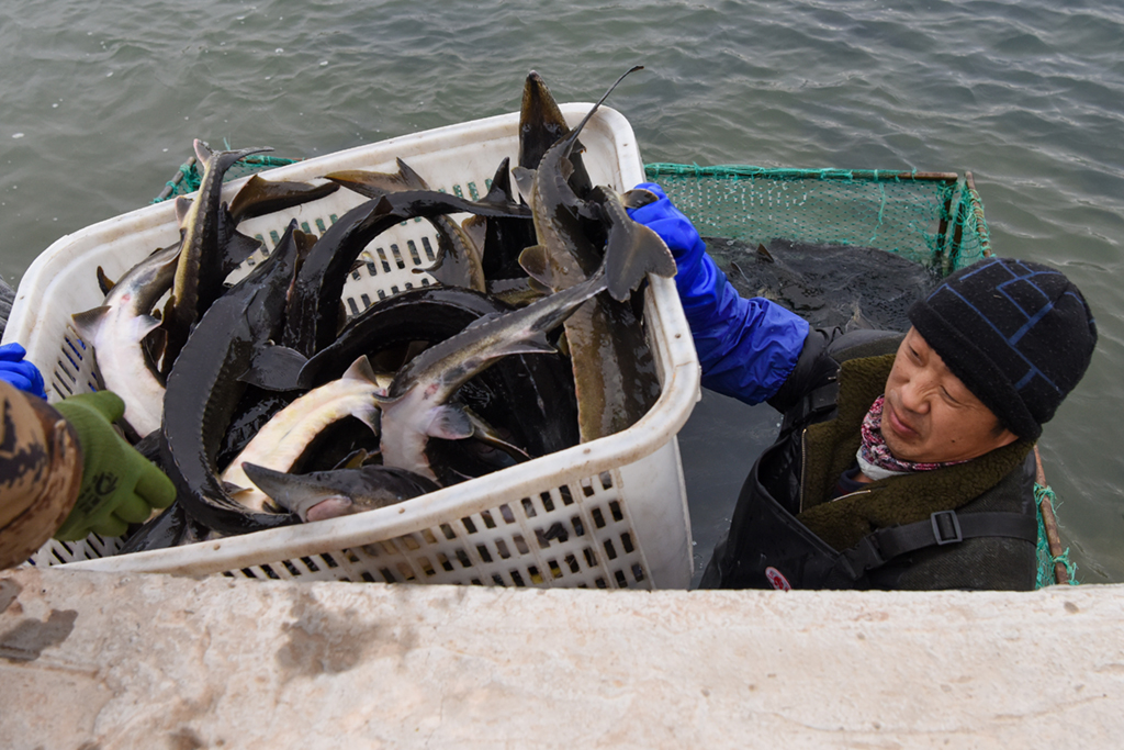 ???????? ????????: ????? ????? ???????? ??????? ???????