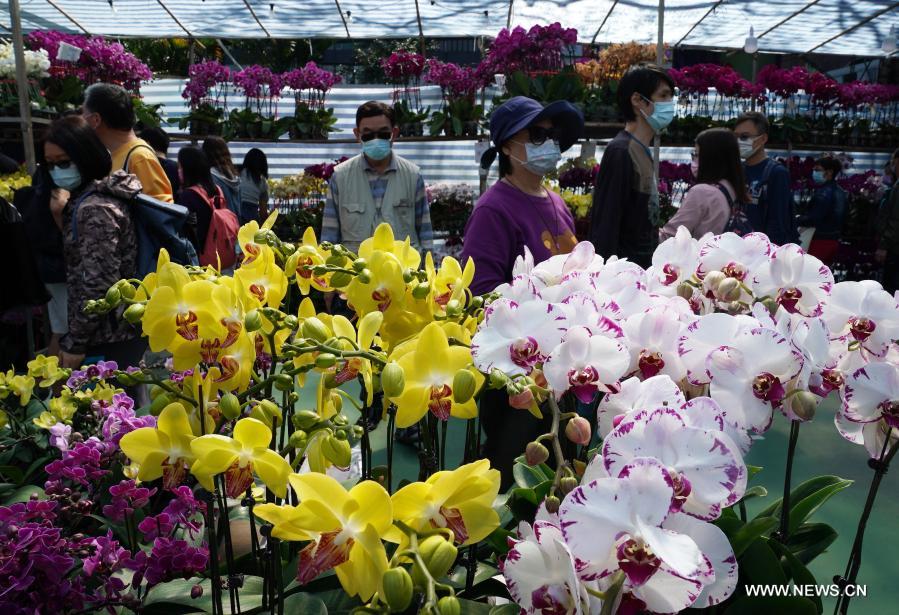 ?????? ????? ????? ???? ???????? ?? ????? ???? ???? ?? ??? ??????