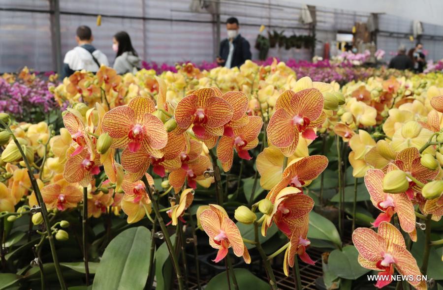 ?????? ????? ????? ???? ???????? ?? ????? ???? ???? ?? ??? ??????