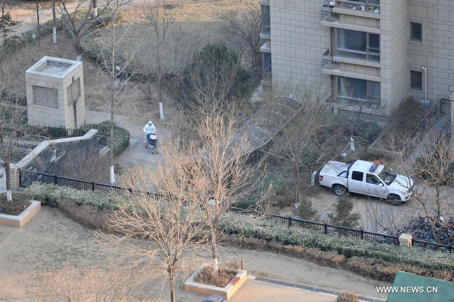 ???? ????? ?? ??????? ?????? ?????? ??????? ??????-19