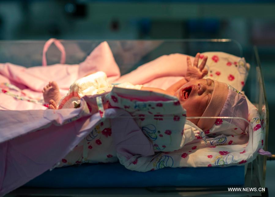 ?????? ???????? ??????? ???????? ?? ???????? ????? ??? ?????