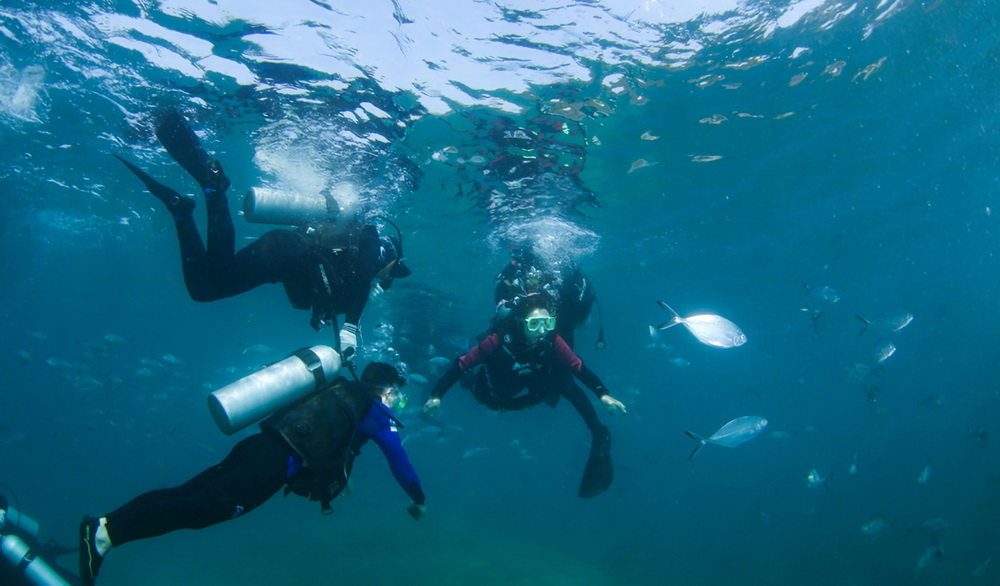 ?????? ??????: ????? ????? ?? ??? ??????